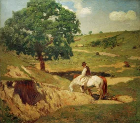 Watering